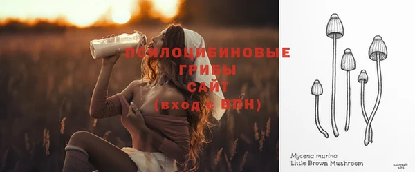 трава Богородицк