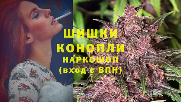 гидропоника Богородск